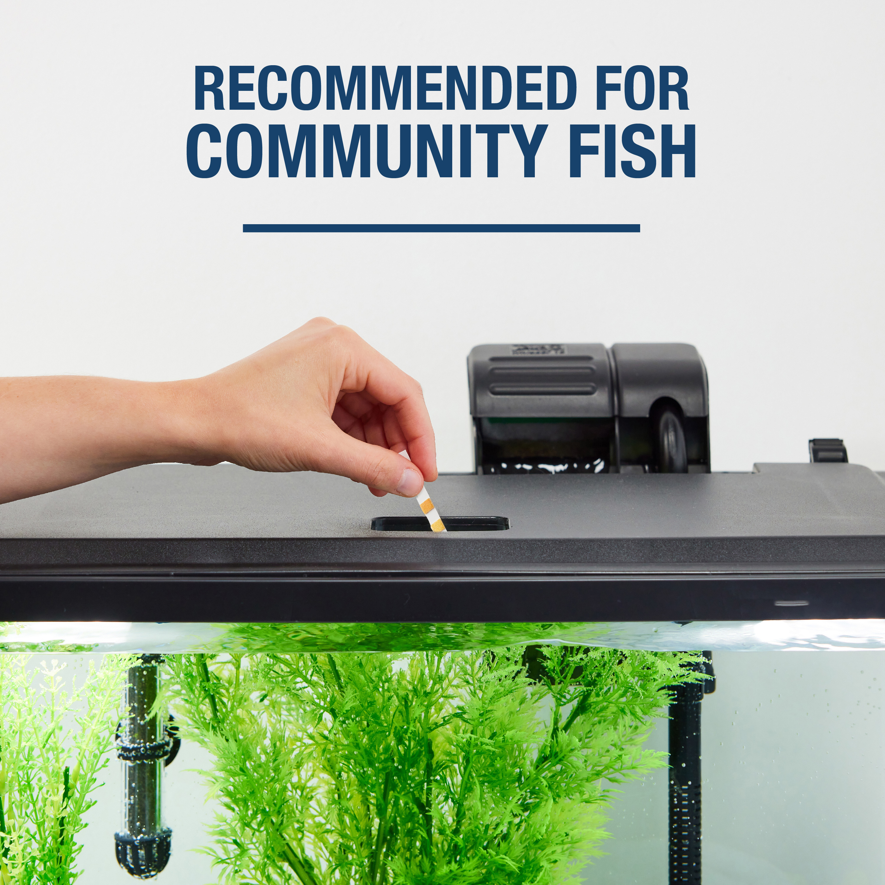 30 gallon aquarium hood with light shop